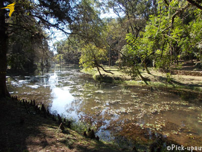 ipiranga Foto do local. Aproveite enquanto é tempo.